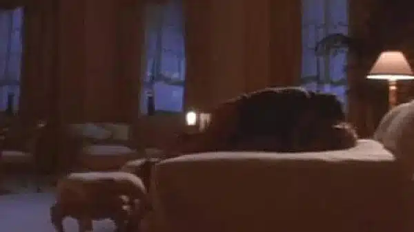 Vintage movie sex scene