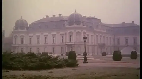 HOT HORNY VINTAGE SLUT TAKING A BIG COCK IN THE ASS