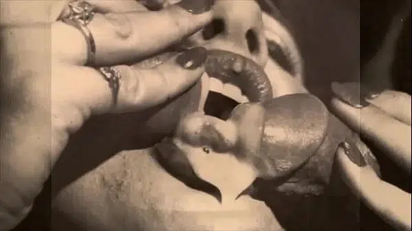 ‘Vintage Close Up’ from My Secret Life, The Sexual Memoirs of an English Gentleman