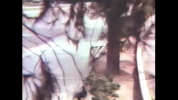 Mothers Wishes – vintage 1960’s