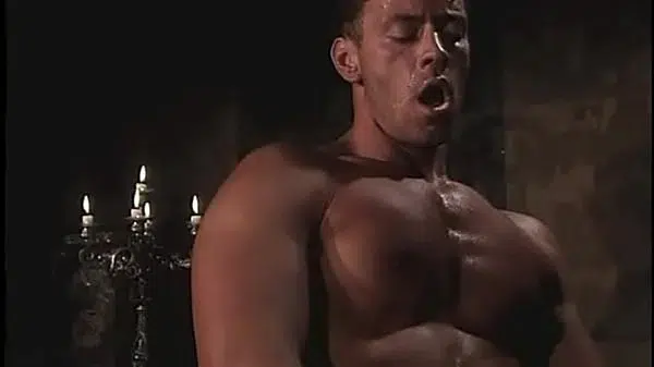 Vintage Anal Intimacy between Rocco and this hot Brunette