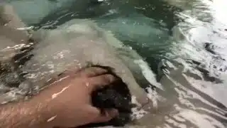 Rainy day hot tub fun avec un très bon French-Canadian twink chaser sub boy