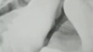 Classic Stags 286 1960s – Scene 4