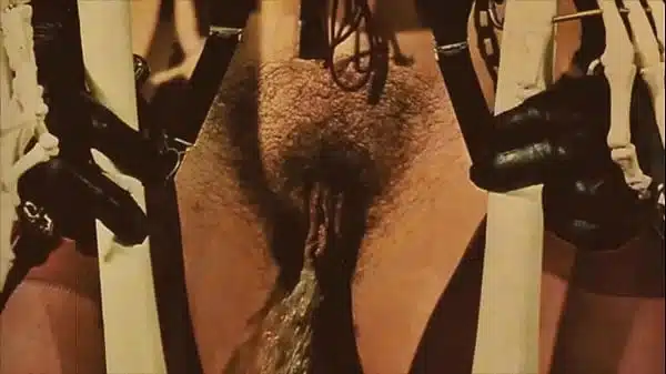 ‘Retro Bizarre’ from My Secret Life the erotic memoirs of a Victorian gentleman