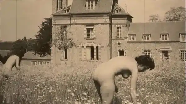 Retro Nature Girls